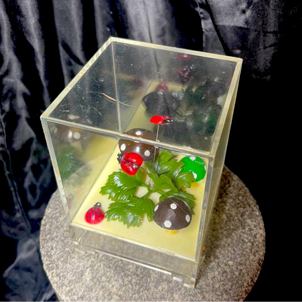 Vintage Berman & Anderson Music Box Acrylic Lady Bugs Mushrooms Lucite Terrarium